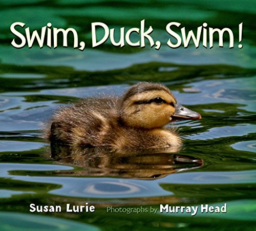 Swim, duck, swim!