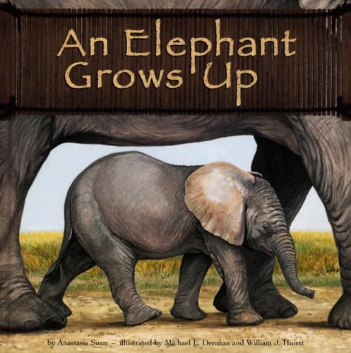 An elephant grows up