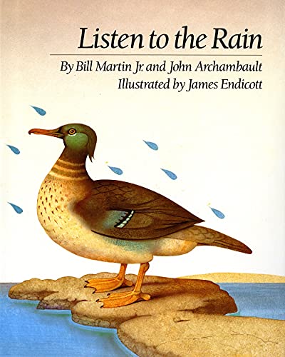 Listen to the rain