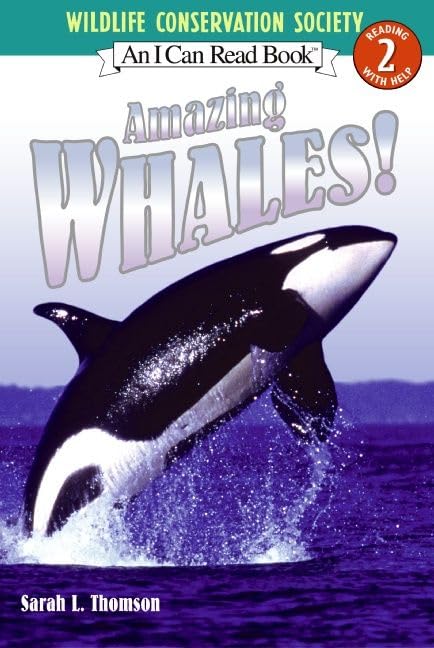 Amazing whales