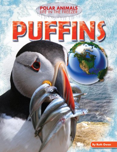 Puffins