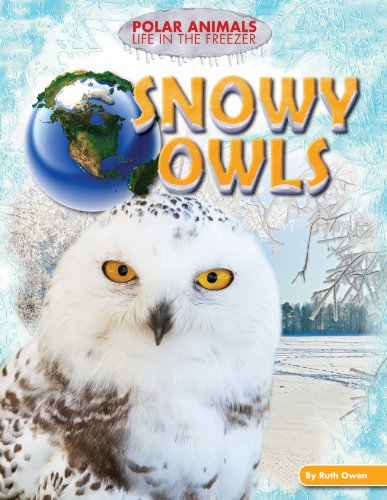 Snowy owls