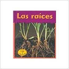 Las raices