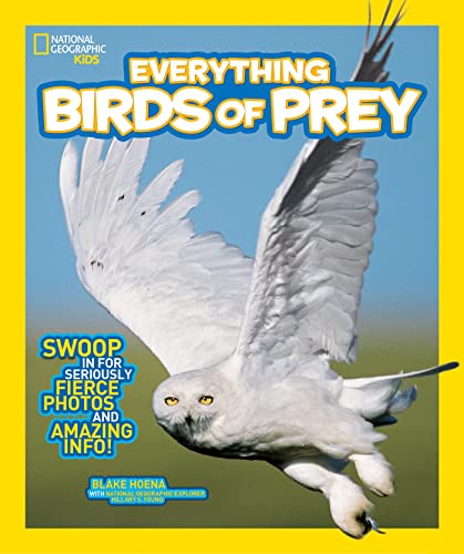 Everything birds of prey