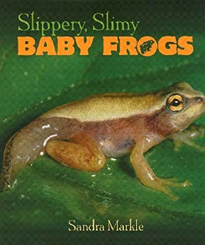 Slippery, slimy baby frogs