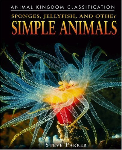 Sponges, jellyfish & other simple animals