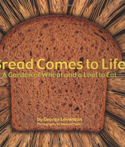 Bread comes to life  : a garden of wheat and a loaf to eat