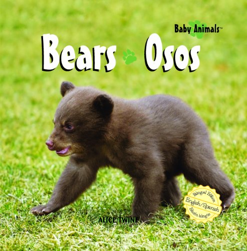 Bears  : Osos