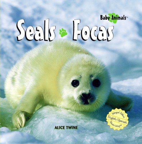 Seals  : Focas