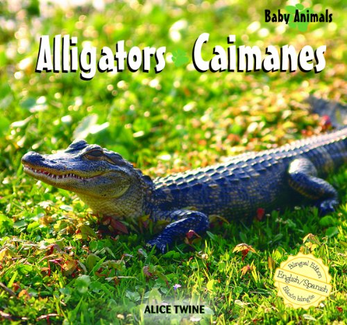 Alligators  : Caimanes
