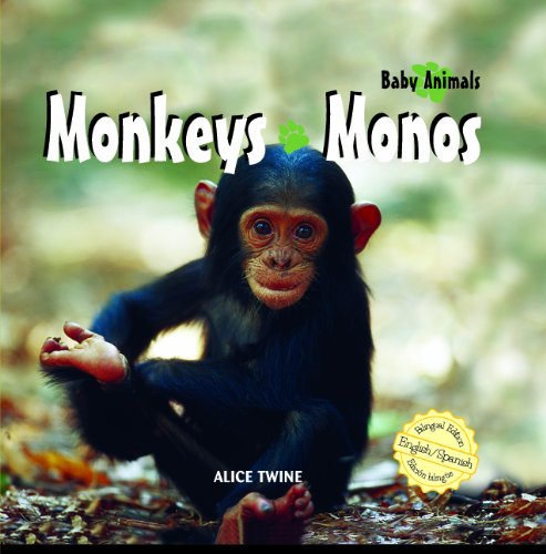 Monkeys  : Monos