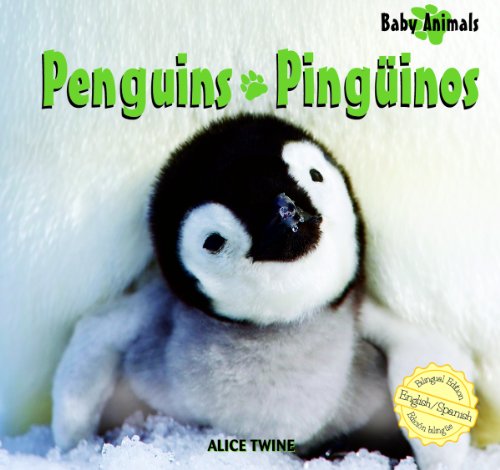 Penguins  : Pinguinos