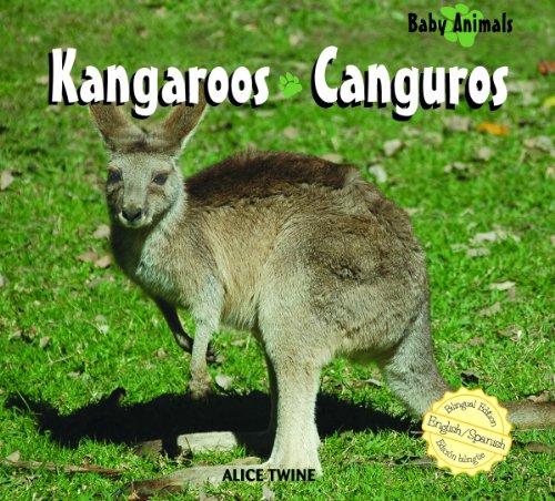 Kangaroos  : canguros