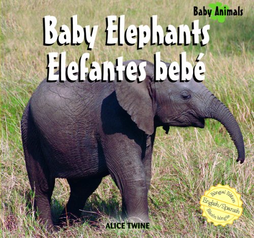 Baby elephants  : = Elefantes bebe