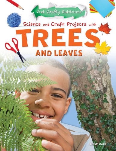 Science and craft projects with trees an