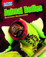 Animal bodies : extreme anatomies