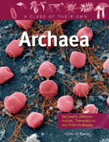 Archaea : salt-lovers, methane-makers, thermophiles, and other archaeans.