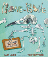 Bone by bone : comparing animal skeletons