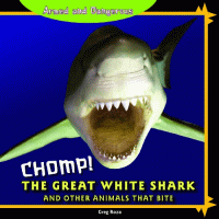 Chomp : the great white shark and other animals that bite.