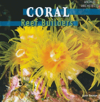 Coral : reef builders.