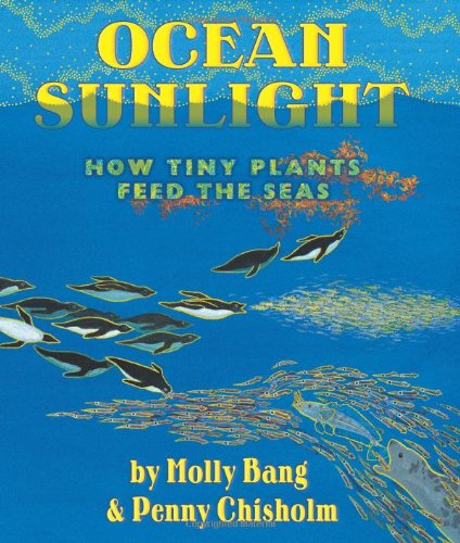 Ocean sunlight-- how tiny plants feed th