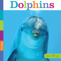 Dolphins