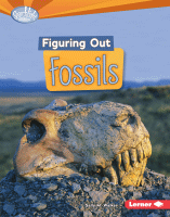 Figuring out fossils