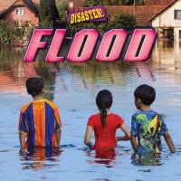 Flood