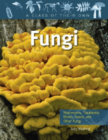 Fungi : mushrooms, toadstools, molds, yeasts, and other fungi.