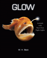 Glow : animals with their own night-lights.