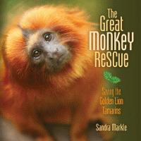 The great monkey rescue : saving the Golden lion tamarins.