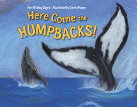 Here come the humpbacks