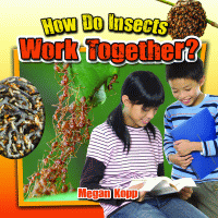 How do insects work together