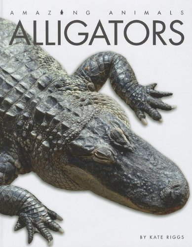 Alligators