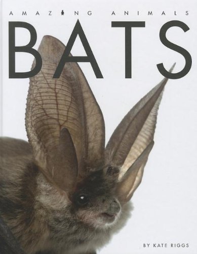 Bats