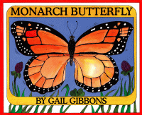 Monarch butterfly