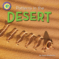 Patterns in the desert