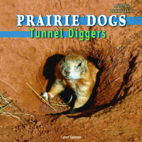 Prairie dogs : tunnel diggers.