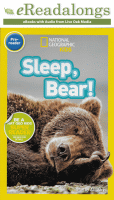 Sleep, bear