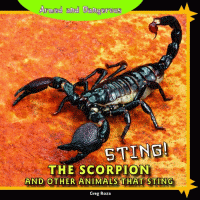 Sting : the scorpion and other animals that sting.