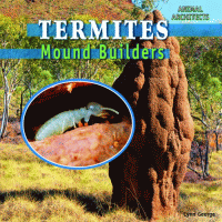 Termites : mound builders.