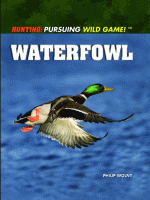 Waterfowl