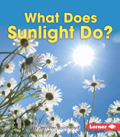 What does sunlight do?