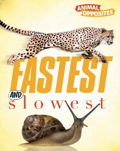 Fastest and slowest