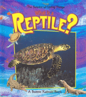 What is a reptile?