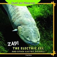 Zap : the electric eel and other electric animals.