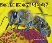 Zoom in on bees