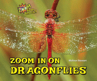 Zoom in on dragonflies