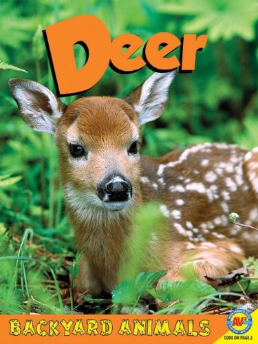 Deer