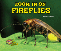 Zoom in on fireflies